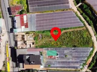 Bán đất mặt tiền triệu việt vương đà lạt, 1213m², 2 mặt tiền, view rừng thông đẹp, sổ riêng