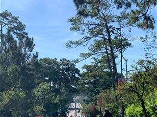 Bán đất mặt tiền hồ tùng mậu, phường 3, đà lạt, lâm đồng đối diện dalat palace