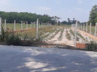 Bán đất vườn huyện đức hòa, tỉnh long an