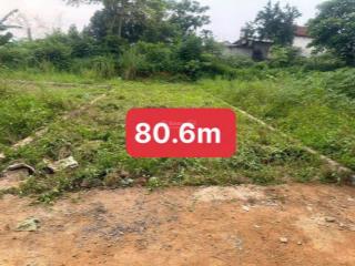Bán gấp đất 80,6m2 thôn 3 tân xã vị trí vàng đầu tư giá rẻ chỉ đầu 3xxtr/1m2