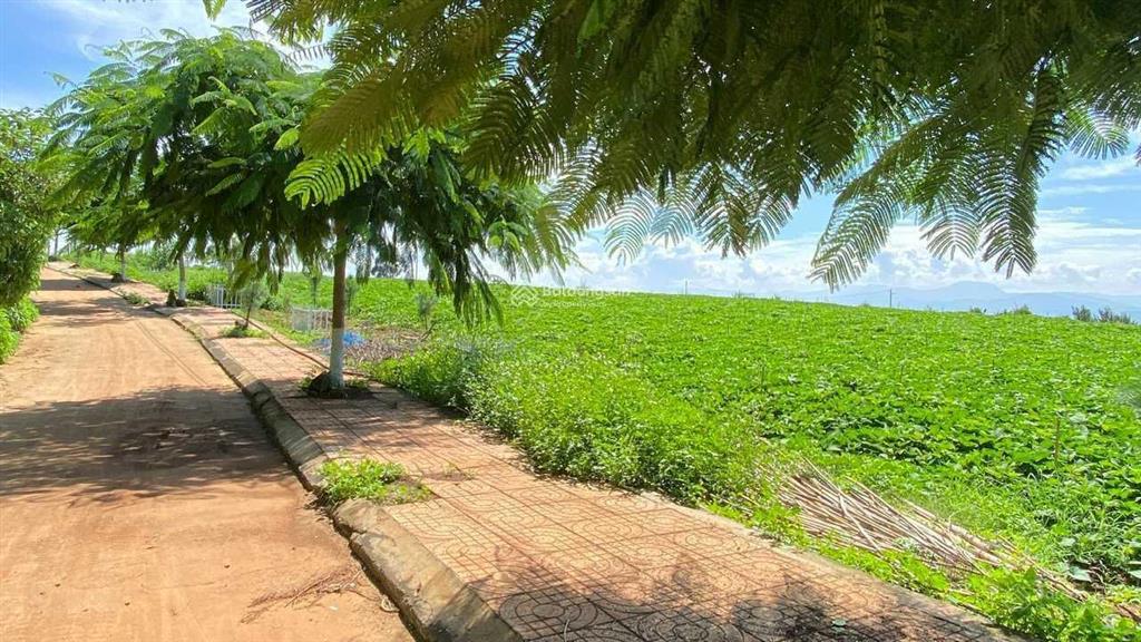 Tân văn đất đầu tư giá rẻ huyện lâm hà, tỉnh lâm đồng