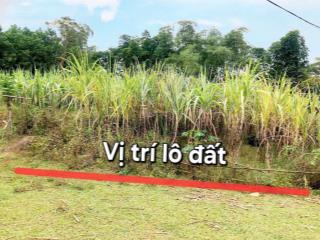 Chỉ 299tr có ngay 650m2 đất tại vũ bình, lạc sơn, hoà bình  0398 031 ***