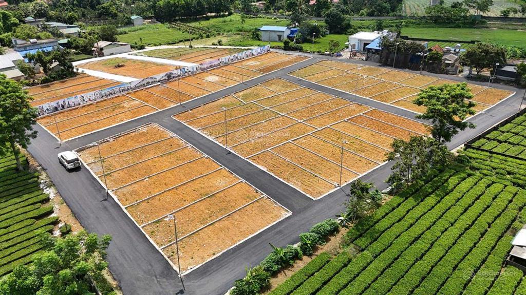 4xx6xx triệu có ngay 6196m² full thổ cư tại phú thành, lạc thủy, hòa bình 0398 031 ***