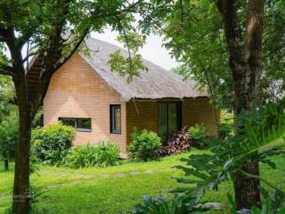 Cần tiền cắt bán 300m2 đất ở phú cát giá chỉ từ 10tr vị trí siêu đẹp ngay các trường đại học lớn