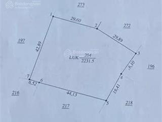 Bán gấp 2.2ha điều có 300m2 tc tại xã tân thành, bù đốp, bình phước, giá rẻ chỉ 1.6 triệu/m2