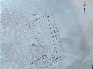 Cần bán gấp 4ha2 cao su có 300m2 tc tại đường nhánh đt759b (ql13 cũ) xã tân thành, bù đốp