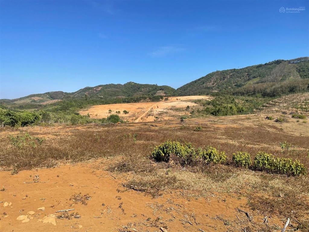 Ôm chủ cần bán lô đất đẹp 88m2 mặt tiền đường đt 755b, cách bưu điện thống nhất hơn 2km