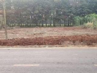 Bán đất có thổ cư 1ha3 đất đường đt 756 lộc quang, lộc ninh, bình phước, nở hậu