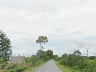 Bán đất đt 831, tuyên bình, vĩnh hưng, long an chỉ với giá tốt 39 tỷ, 11800 m2