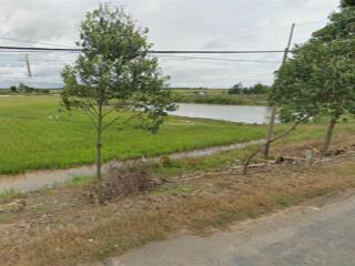 Bán 9982m2 skc, dt 831 tuyên bình, vĩnh hưng, long an