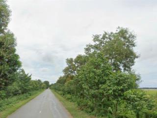 Bán đất tại đt 831, tuyên bình, vĩnh hưng, long an, 55 tỷ, 17206 m2