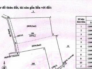 Bán đất tại đt 831, tuyên bình, vĩnh hưng, long an, 50 tỷ, 31418 m2