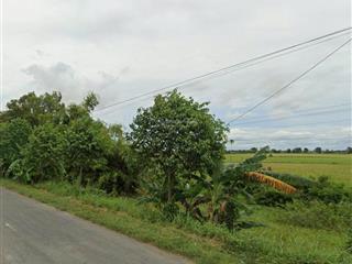 Bán đất tại đt 831, tuyên bình, vĩnh hưng, long an, 140 tỷ, 43241m2 skc