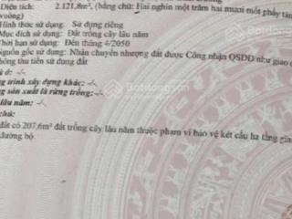 Hàng hiếm tại đt 831, tuyên bình, vĩnh hưng, long an, 18 tỷ, 2121 m2