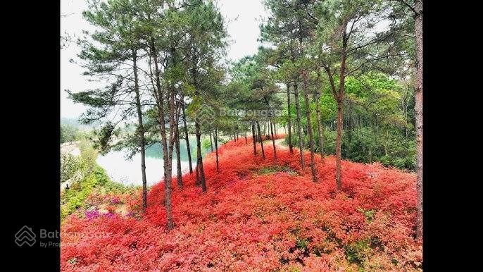 Chủ nhà cần tiền gửi bán em căn bt song lập 225m2, giai đoạn 2 phân khu valley park, view yên tĩnh