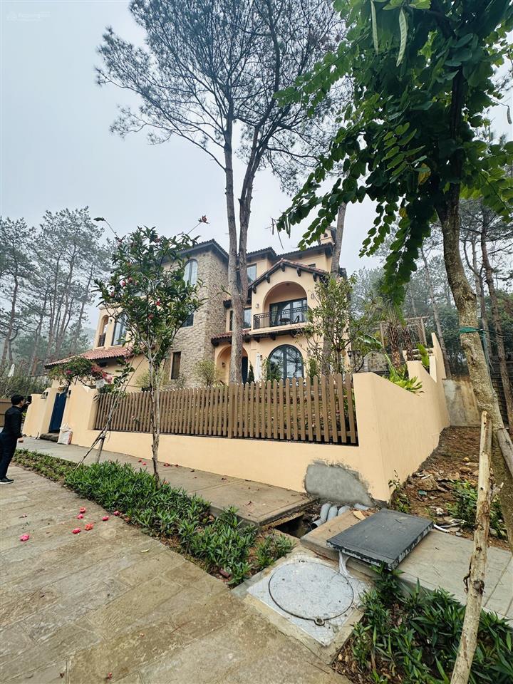 Chủ nhà cần tiền gửi bán em căn bt song lập 225m2, giai đoạn 2 phân khu valley park, view yên tĩnh