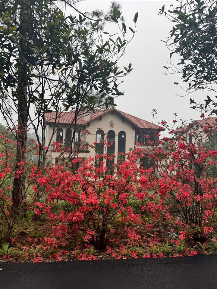 Chủ nhà cần tiền gửi bán em căn bt song lập 225m2, giai đoạn 2 phân khu valley park, view yên tĩnh