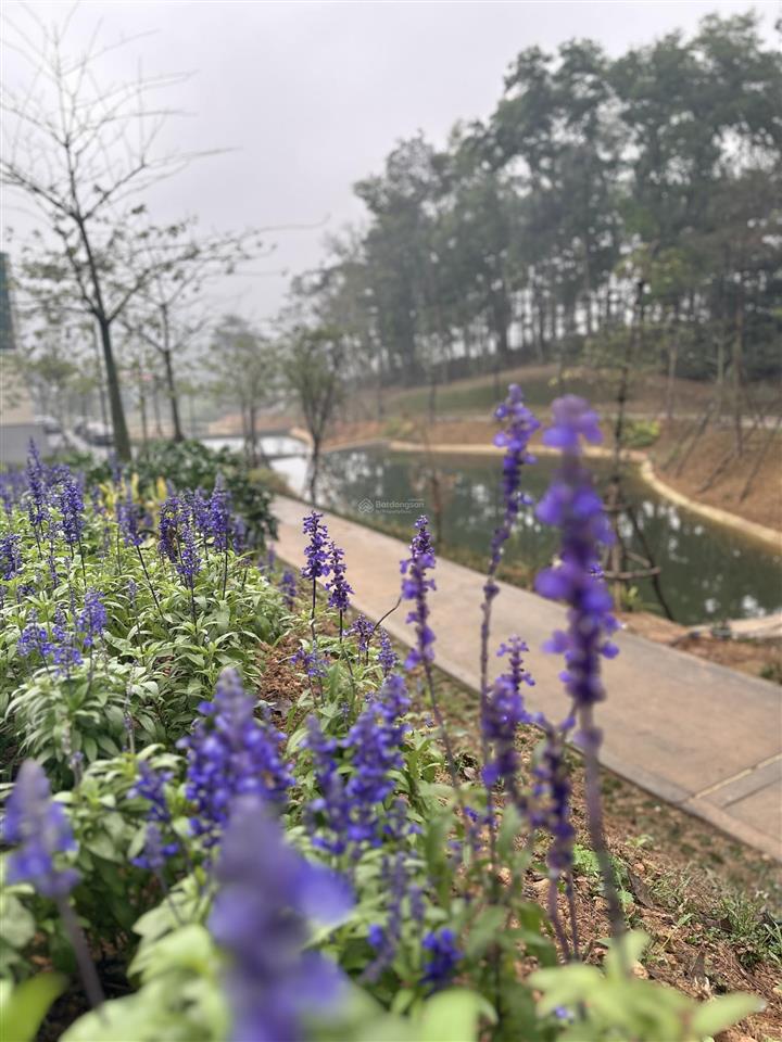 Chủ nhà cần tiền gửi bán em căn bt song lập 225m2, giai đoạn 2 phân khu valley park, view yên tĩnh