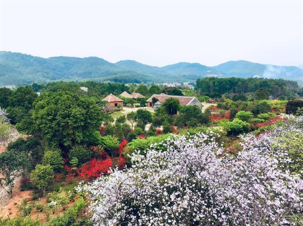 Căn bt đơn lập cuối cùng tại thanh xuân, ký trực tiếp cđt, 9/2025 bàn giao. tặng gói quà tặng 300tr