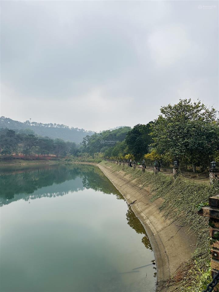 Cđt bán căn đơn lập luxury mặt trực diện hồ siêu vip duy nhất tại dự án, hơn 400m2 sàn. ký cđt bim