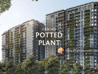 Giỏ hàng elysian 1pn+1, 1 wc 53m2  thanh toán 5% ký hđmb  view hồ bơi đẹp nhất dự án