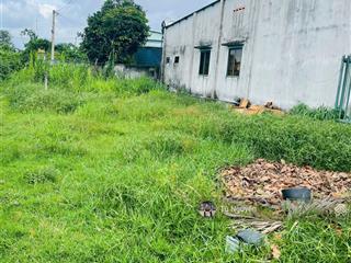 Chủ cần bán gấp lô đất tại đường 93, xã tân thông hội, củ chi, hồ chí minh, giá 580tr, 98 m2