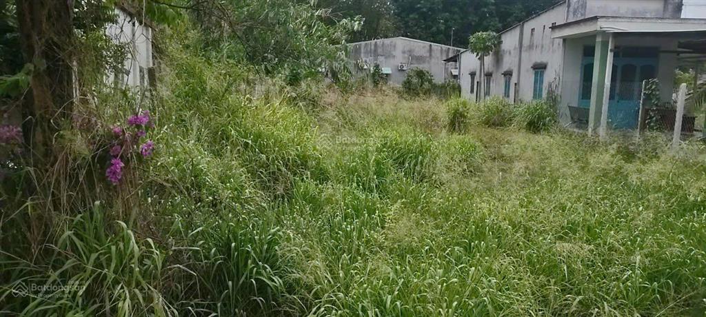 10x38=379m2 (có 200m2 thổ cư) cần bán lô đất tại xã an tịnh, trảng bàng, tây ninh giá 400tr