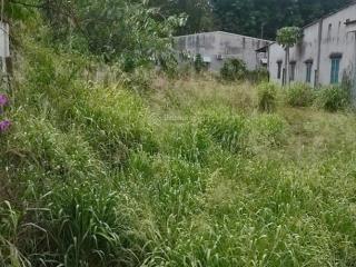 10x38=379m2 (có 200m2 thổ cư) cần bán lô đất tại xã an tịnh, trảng bàng, tây ninh giá 400tr