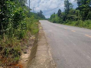 8,1hec đất vườn madagui, cạnh cao tốc, 300m mt đường nhựa, giá 19,2 tỷ