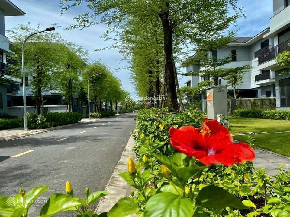 Tháng 2/2026!!! quỹ căn biệt thự, liền kề vị trí đẹp, diện tích 105m2450m2,giá tốt nhất thị trường