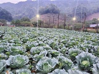 Bán đất tại vân hồ, sơn la, 1.4 tỷ, 1000m2