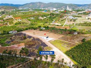 Bán đất gia lâm  lâm hà view rừng thông bạt ngàn giá chỉ 520 triệu
