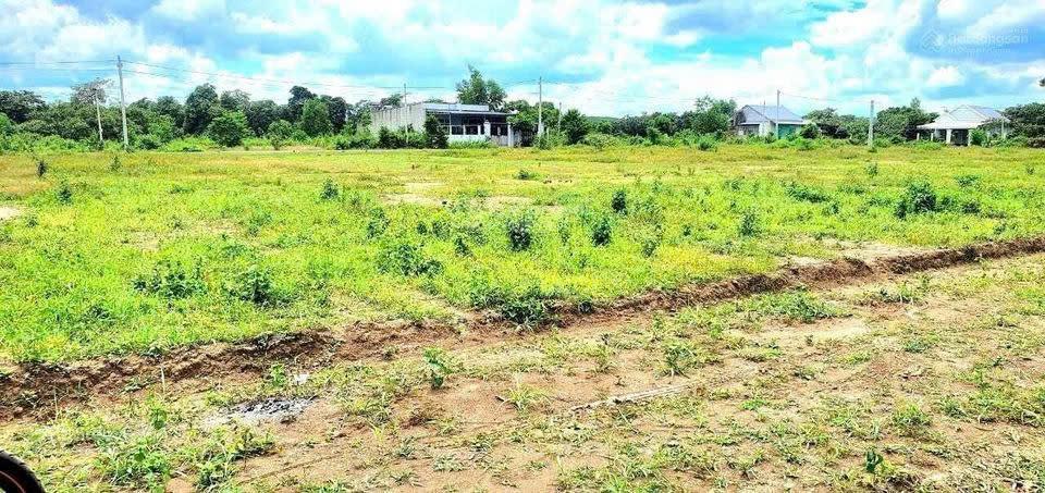 Ngộp sang hơn 1100m2 đất vườn bao suối cách trục đường dh chỉ 100m, dân cư hiện hữu giá chỉ 530tr