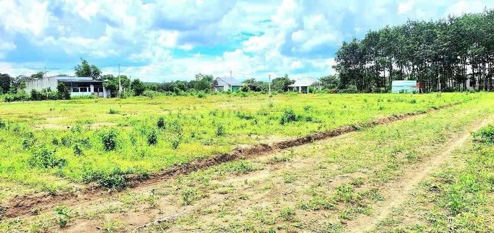 Ngộp sang hơn 1100m2 đất vườn bao suối cách trục đường dh chỉ 100m, dân cư hiện hữu giá chỉ 530tr