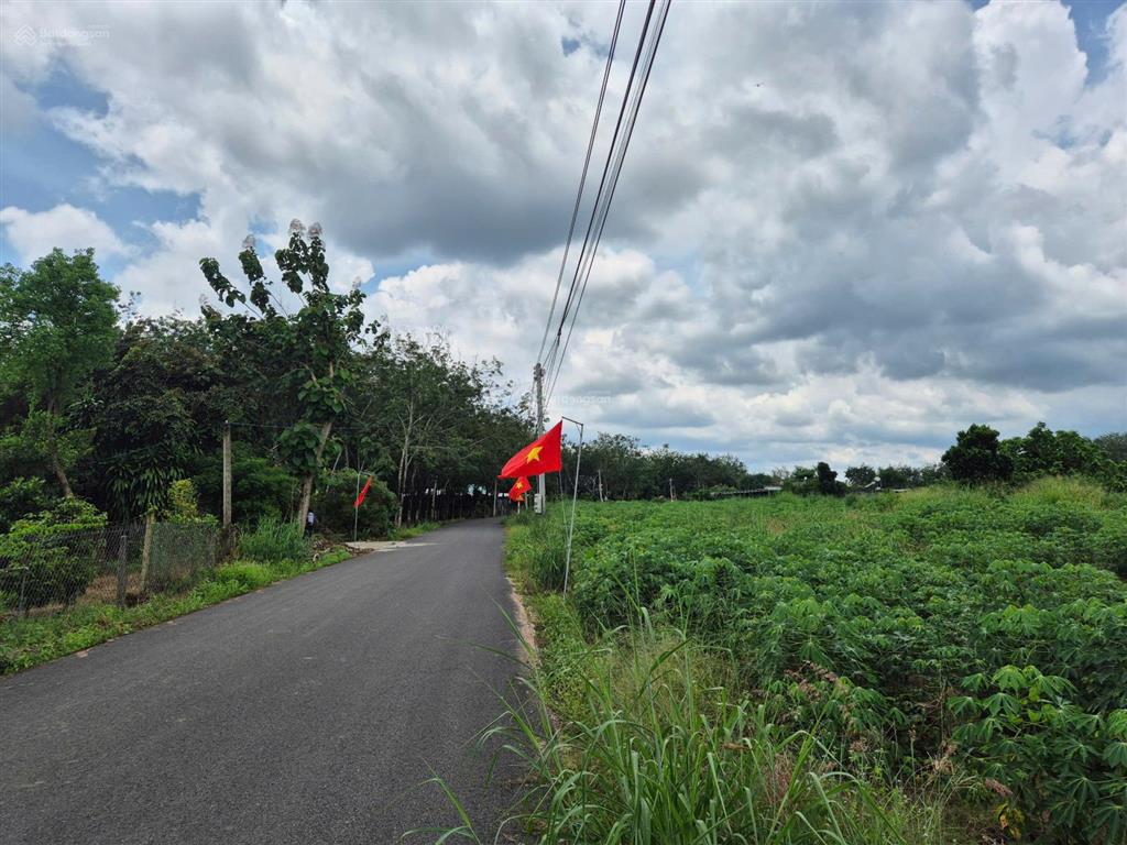 Ngộp 853m2 sẵn 100m2 thổ cư, cách dh 507 vào đúng 150m, bao sổ 860tr, ngân hàng hỗ trợ được 550tr