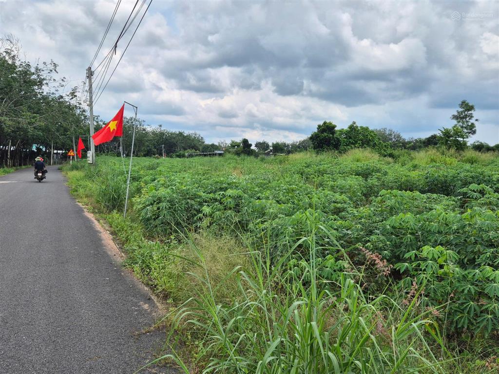 Ngộp 853m2 sẵn 100m2 thổ cư, cách dh 507 vào đúng 150m, bao sổ 860tr, ngân hàng hỗ trợ được 550tr