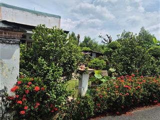 Cuối năm xả lũ lô 548,7m2 sẵn 100m2 tc ngay cạnh trường thcs an linh, ngang 10m giá chốt 680tr