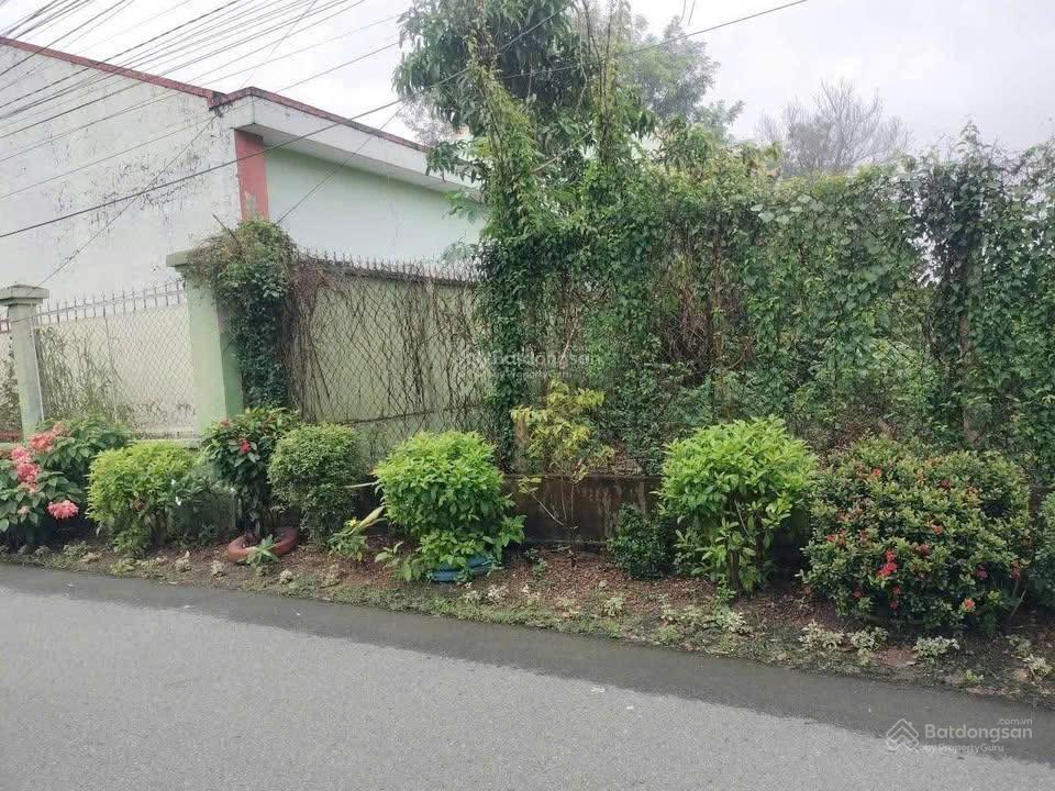 Cuối năm kẹt lô 250,9m2 sẵn 100tc, đường nhựa, sát bên trường thcs an linh, giá bán 510tr( bao sổ)