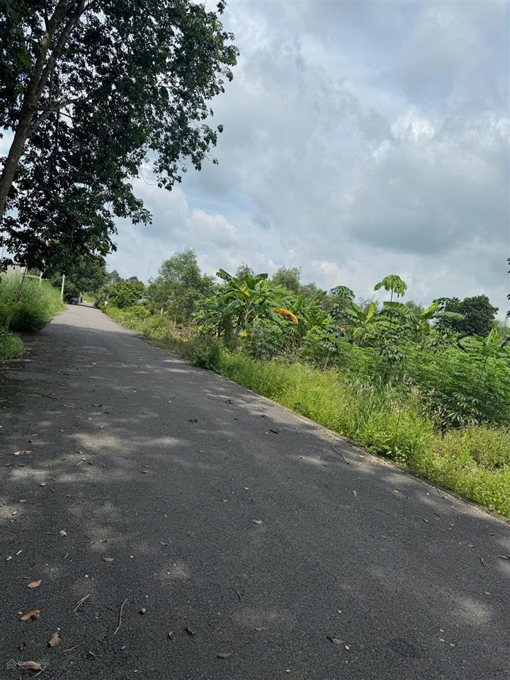 Cuối năm kẹt lô 250,9m2 sẵn 100tc, đường nhựa, sát bên trường thcs an linh, giá bán 510tr( bao sổ)