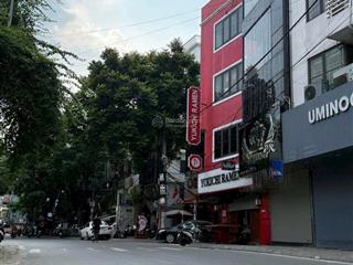 Mặt phố vip phan kế bínhba đình thông số vàngkinh doanh sầm uất 46m2 5,5 tầng mt 5m 19,5 tỷ