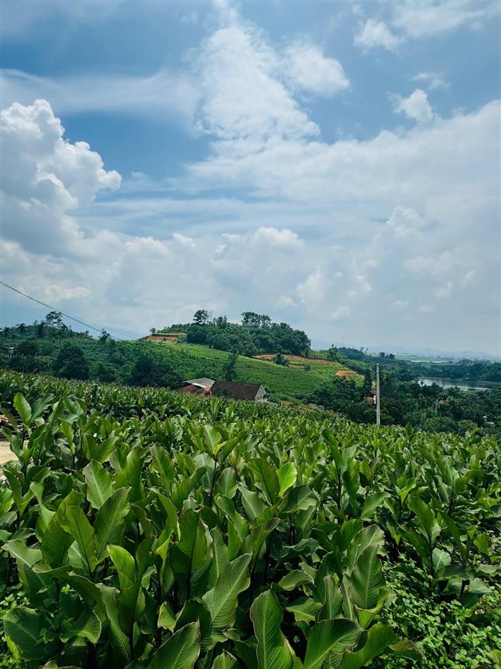 View hồ view sông đà siêu đẹp đến là ưng