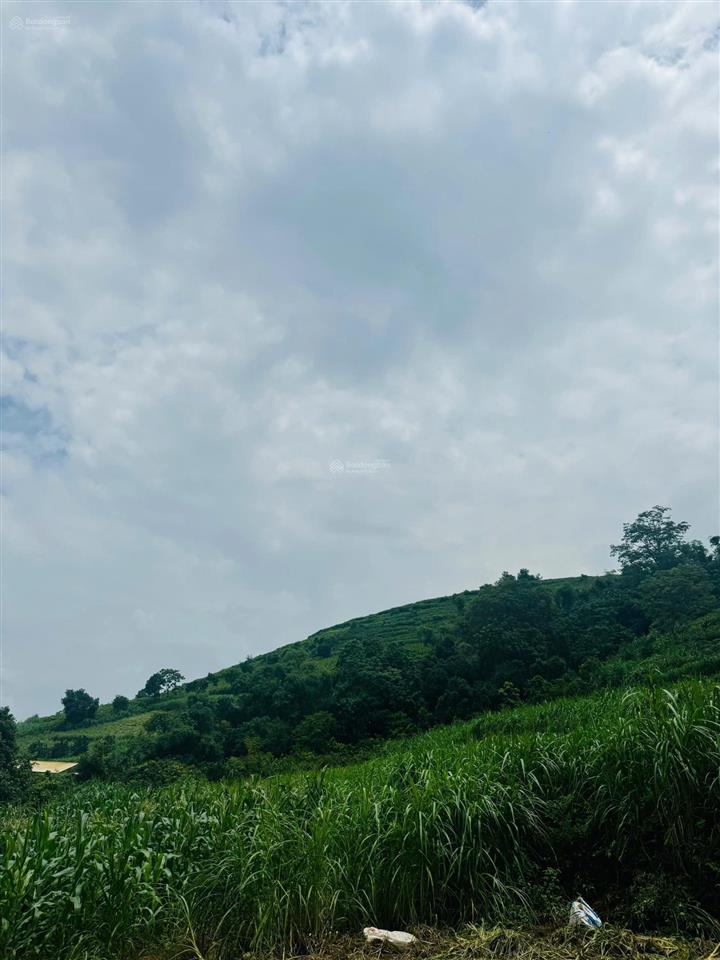 3300m2 minh quang ba vì hàng hot