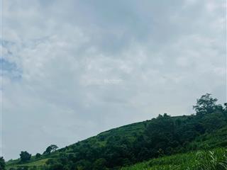 3300m2 minh quang ba vì hàng hot