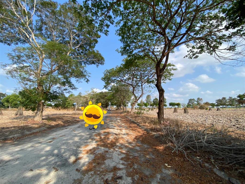 Bán gấp nền np12, dự án xây dựng hà nội, kđt mới long thọ, nhơn trạch 92.5m2, nhỉnh 1.1 tỷ