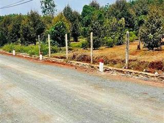 Chính chủ cần sang lại 1000m2 đất vườn sầu riêng đang chuẩn bị thu hoạch giá 250tr/sào