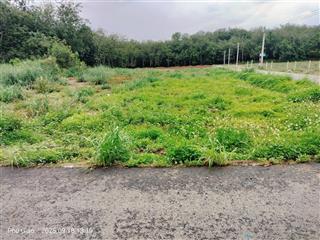 Cô ba gửi bán 200m2 có tc mặt tiền nhựa cạnh ngã tư đối diện trường tiểu học an linh đúng 530 triệu