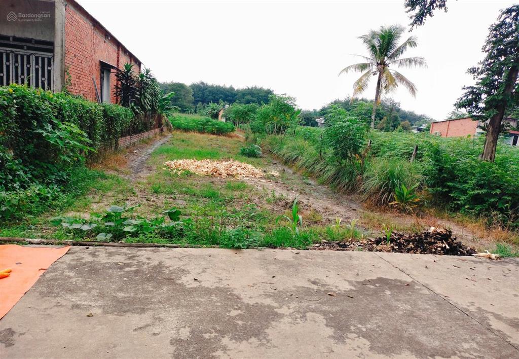 Chủ kẹt tiền gửi bán lô đất ngay tp đồng xoài, 245m2 có 100m2 thổ cư, cạnh chợ tân thành, giá 430tr