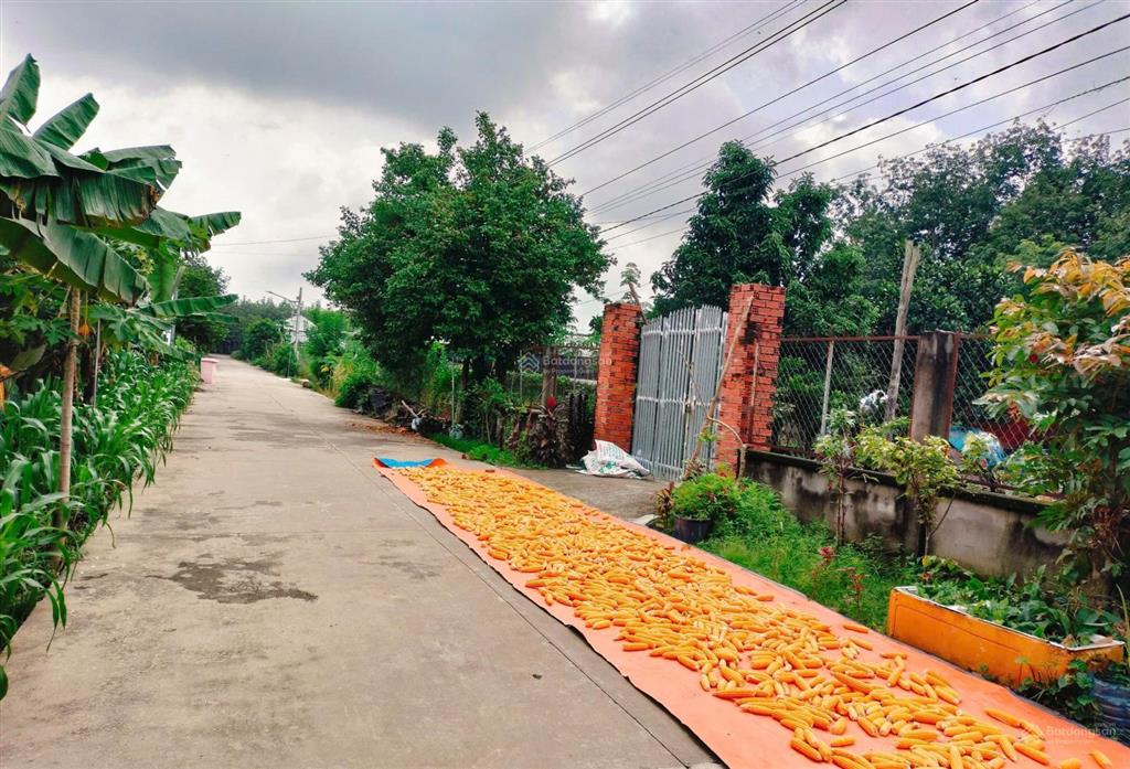 Chủ kẹt tiền gửi bán lô đất ngay tp đồng xoài, 245m2 có 100m2 thổ cư, cạnh chợ tân thành, giá 430tr