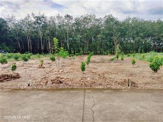 Bán mảnh vườn mít view suối siêu đẹp 26m ngang sổ sẵn mặt tiền 1 bê tông, 1 mặt giáp suối cạnh ql14
