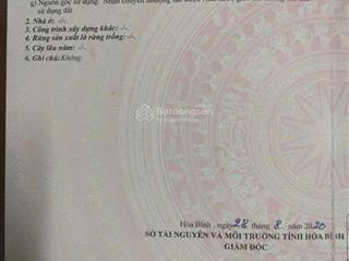 Cần bán nhanh 12,6ha rừng sản xuất tại phú minh, hòa bình, gần cao tốc hòa lạc. giá thương lượng